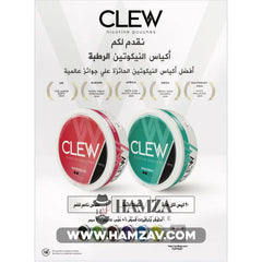 Clew Nicotine Pouches Blueberry - كلو اكياس النيكوتين الرطبة بطعم البلوبيري Disposable