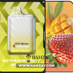 Malek El Zaman Disposable 10000 Puffs Strawberry Mango - ملك الزمان ديسبوزابل فراولة مانجو
