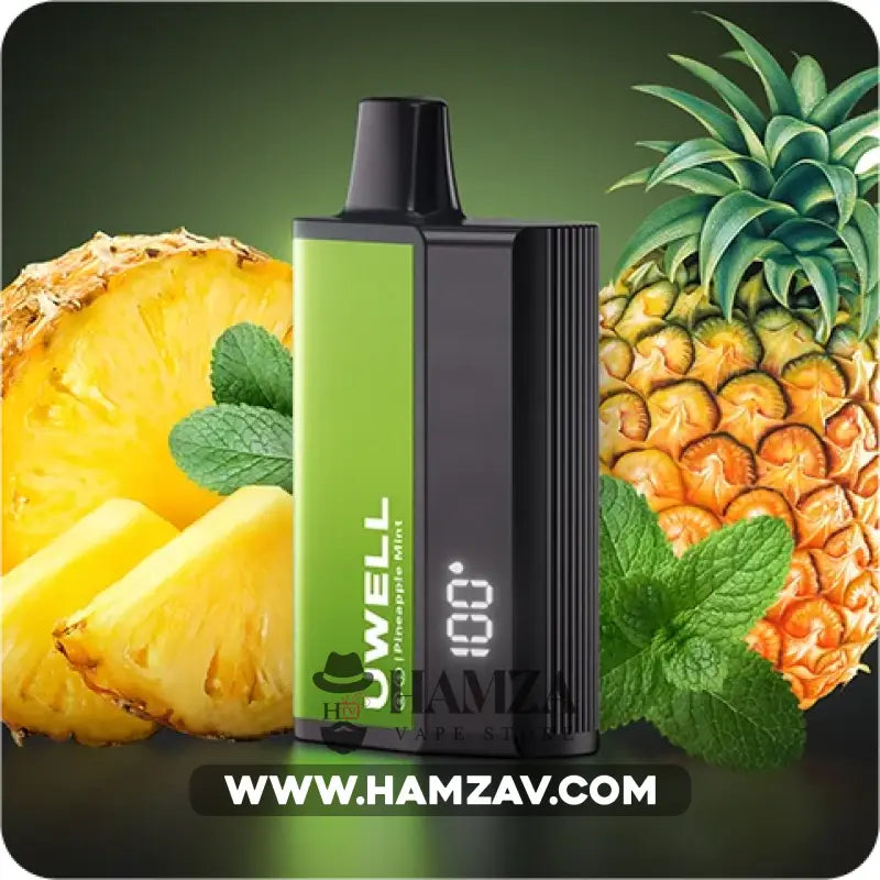 Uwell Disposable Dl8000 Puffs Pineapple Mint - يوويل دي ال ٨٠٠٠ ديسبوزابل اناناس نعناع