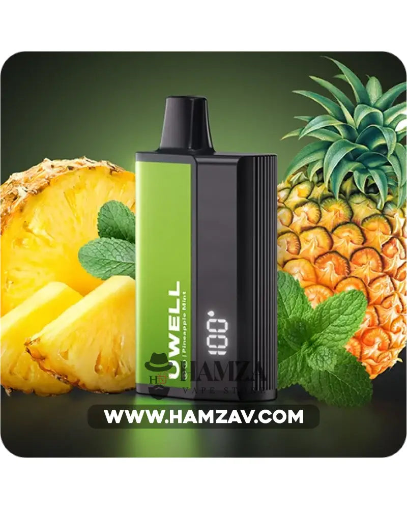 Uwell Disposable Dl8000 Puffs Pineapple Mint - يوويل دي ال ٨٠٠٠ ديسبوزابل اناناس نعناع