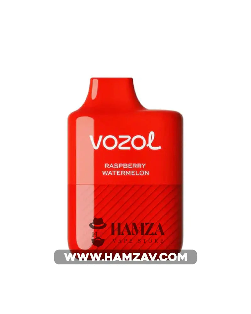 Vozol Disposable Alien 5000 Puffs Raspberry Watermelon - فوزول الين ديسبوزابل توت احمر بطيخ