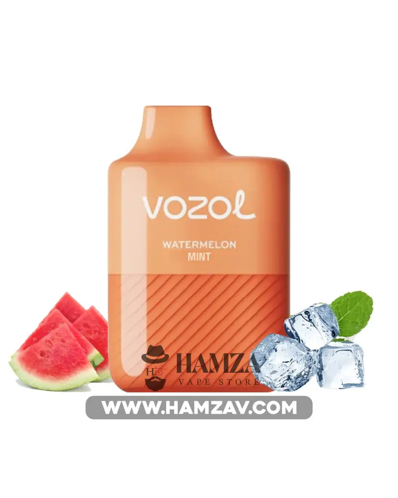 Vozol Disposable Alien 5000 Puffs Watermelon Mint - فوزول الين ديسبوزابل بطيخ نعناع