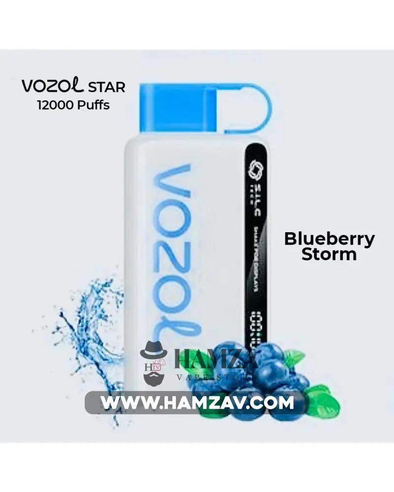 Vozol Disposable Star 12000 Puffs Blueberry Storm - فوزول ستار ديسبوزابل بلوبيري ستورم