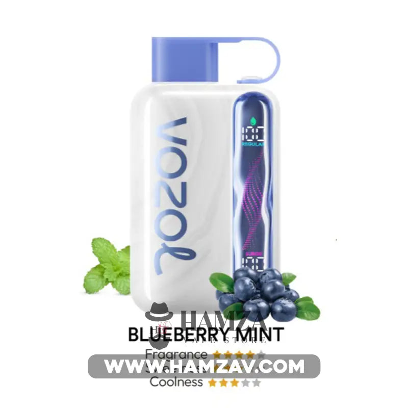 Vozol Star Disposable 40K Puff Blueberry Mint - فوزول ستار ديسبوزابل 40 ألف بف بلوبيرى نعناع 40000 / 5% SaltNic