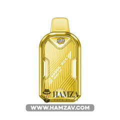Zooka Box Disposable 7000 Puffs Mango Ice -