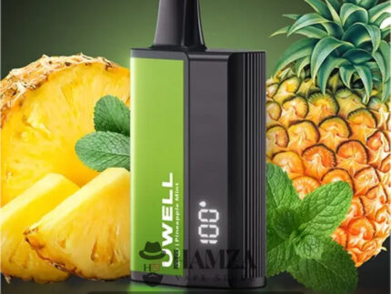 Uwell Disposable Dl8000 Puffs Pineapple Mint - يوويل دي ال ٨٠٠٠ ديسبوزابل اناناس نعناع