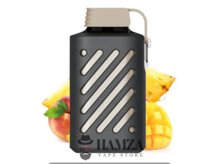 Vozol Disposable Gear 10000 Puffs Peach Mango Smoothie -