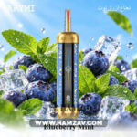 OLIT Hookalit Pro Disposable 60K Puffs BLUEBERRY MINT - اوليت هوكاليت برو 60 الف باف ديسبوزابل بلوبيرى نعناع - 60000