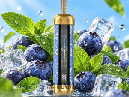 OLIT Hookalit Pro Disposable 60K Puffs BLUEBERRY MINT - اوليت هوكاليت برو 60 الف باف ديسبوزابل بلوبيرى نعناع - 60000