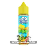 Vape Station Fas Kiwi - فيب ستيشن فص كيوي Dl (60Ml) / 3Mg Egyptian Liquid